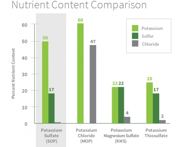 Potato Specific Gravity Chart