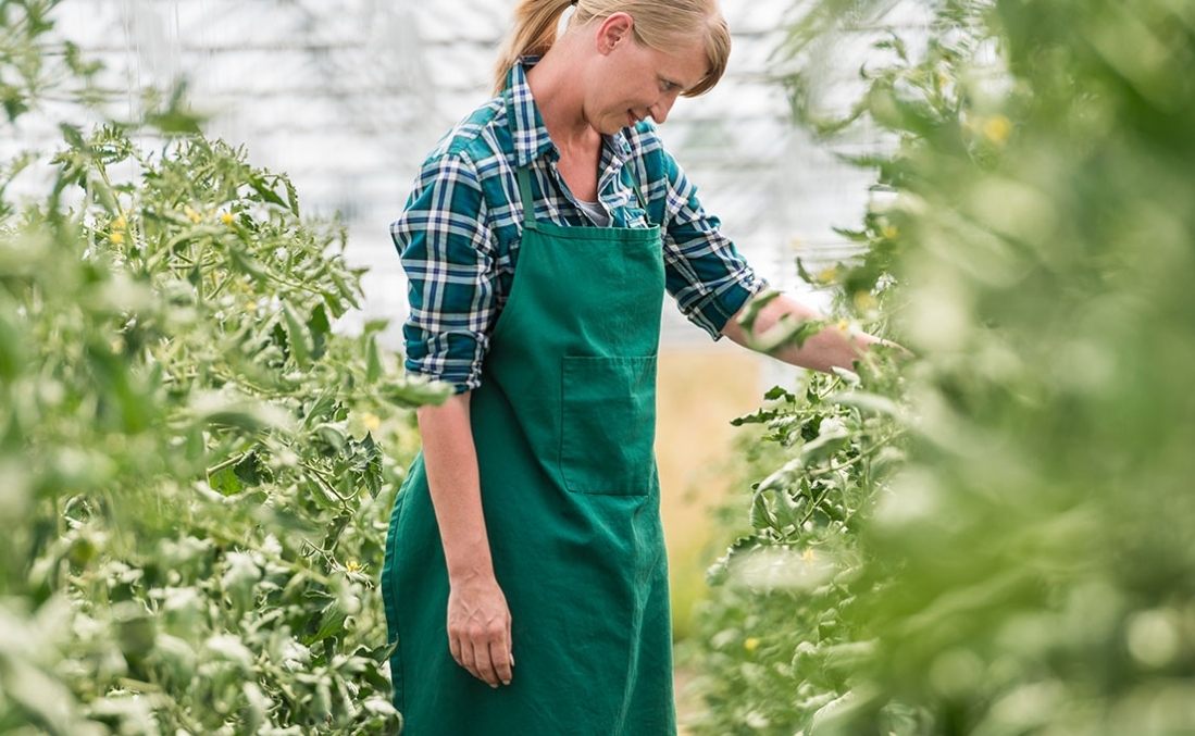 Leading Innovation in the Fertilizer Industry